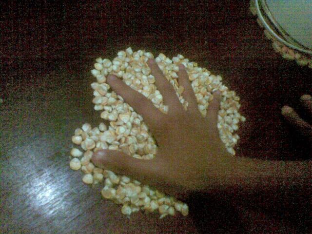 Taburkan jagung dia antara lima jari