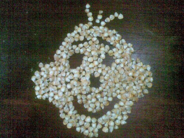 wajah sukacita, jangan lupa melubangi alis mata hidung dan mulut, tambahkan kucir