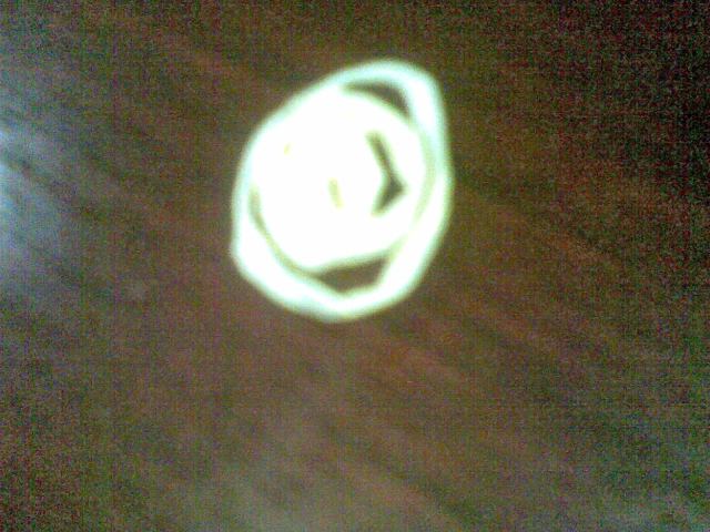 memakai bunga mawar sebagai buah pohon dan sebagai bunga mawar itu sendiri