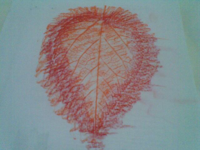 Bentuk hati dgn dua warna