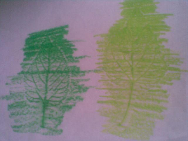 Dua tangkai daun bisa juga terlihat seperti dua buah pohon