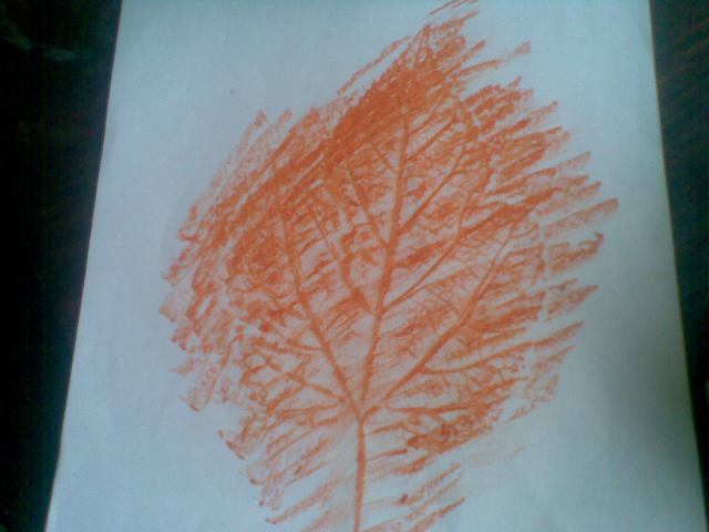 Gunakan daun besar untuk mendapatkan jiplakan tulang daun mirip JALAN RAYA