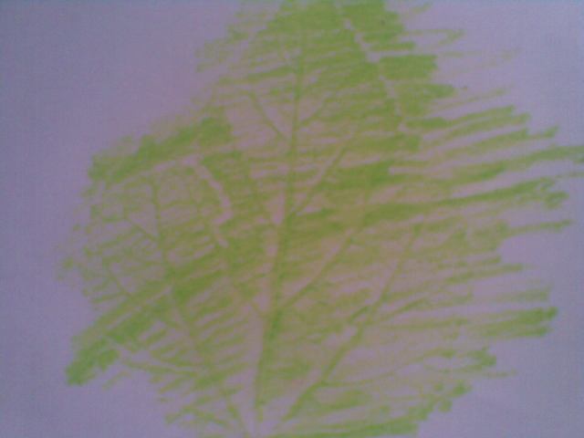 Contoh Hasil Jiplakan daun