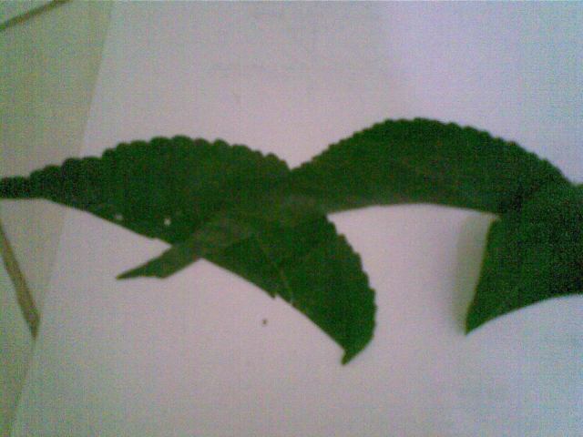 Ombak tampak dekat, abaikan bentuk bawah saat menjiplak nanti