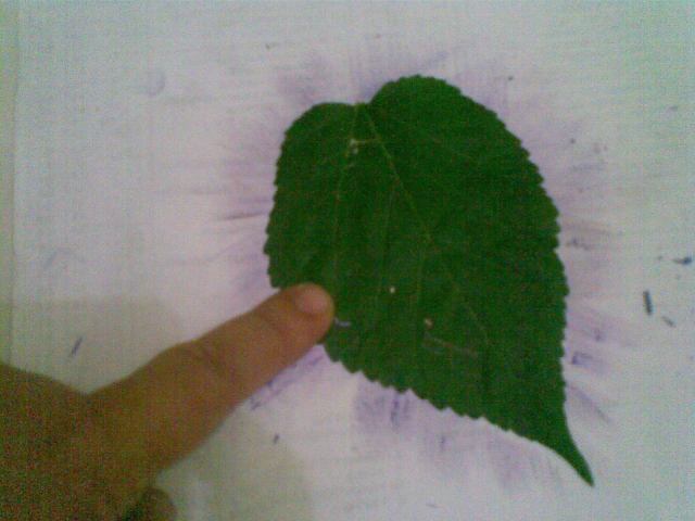 Pakai jari menggeser ke arah luar, serbuk hasil rautan cryon