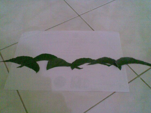 Susun seperti ombak, biarkan ujung-ujungnya lebih ke luar