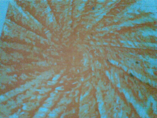 MATAHARI TAMPAK DEKAT