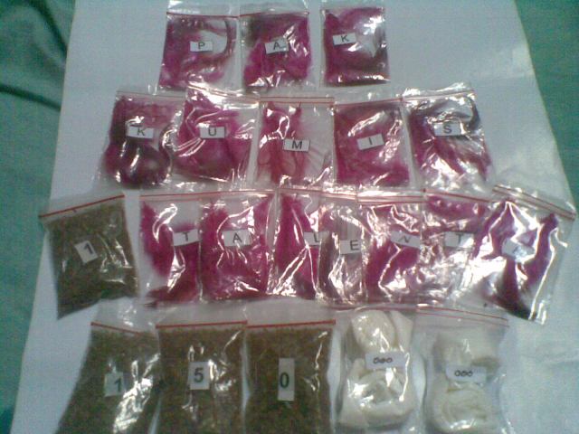 HASIL PERHITUNGAN TALENTA PAK KUMIS