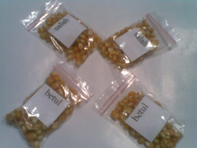 BIJI POP CORN UNTUK BETUL ATAU SALAH