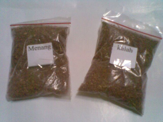 MENANG ATAU KALAH MENGGUNAKAN PLASTIK BESAR