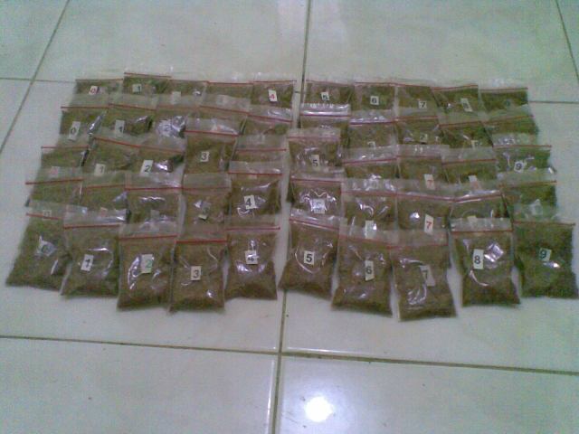 MINTA SISWA MENYUSUN SEDEMIKIAN RUPA SEHINGGA MUDAH DIPILIH