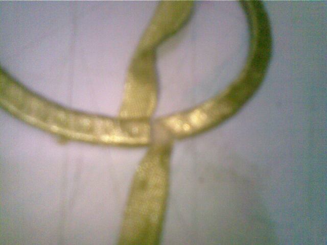 lilit dengan pita dari satu titik ke titik berikutnya