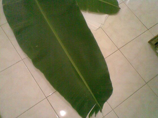 ambil daun dari pohonnya atau beli daun di pasar tradisional. Tips memilih: Pilih yang masih utuh, daunnya lebar, berwarna hijau tua dan memiliki ketebalan yang cukup, sehingga tidak mudah robek. 