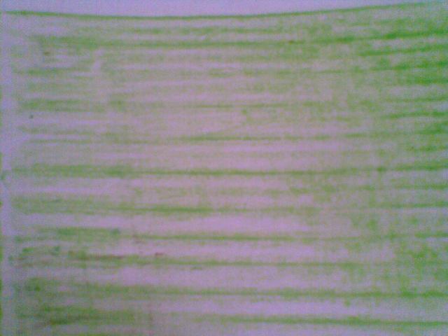 Anda juga bisa memakai daun yang ukurannya melebihi ukuran kertas, sehingga seluruh kertas mendapat goresan garis daun pisang. Ingat...cara menggoreskannya dengan menidurkan cryon, dengan arah arsiran SEARAH dengan arah garis daun pisang.