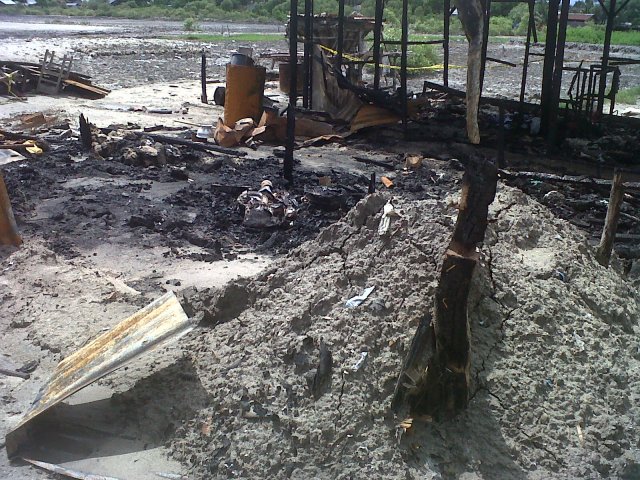 SEJAUH MATA MEMANDANG HANYA TERHAMPAR PUING-PUING 