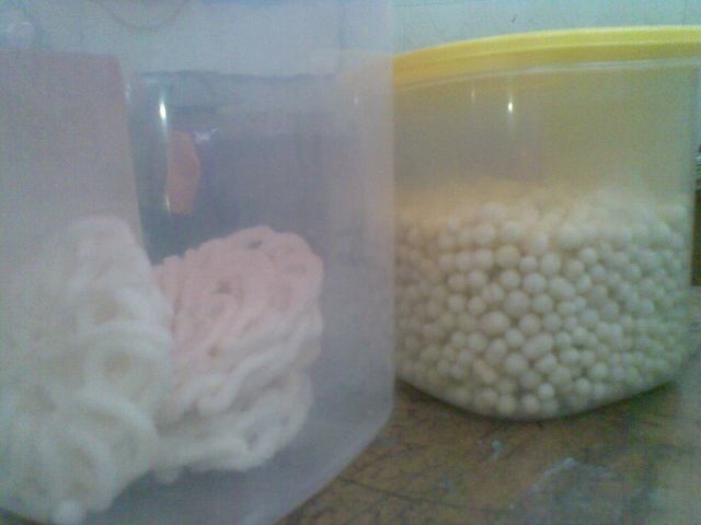 PERCOBAAN PILUS DAN KRUPUK