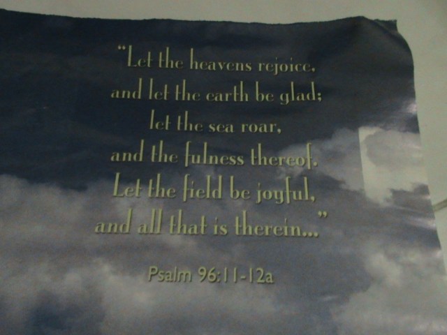 4. SOBEK BAGIAN ATAS DENGAN HATI-HATI, CUTTER TEPI YANG TIDAK RAPI