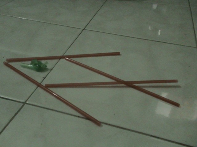 IKAN YANG MENELAN YUNUS