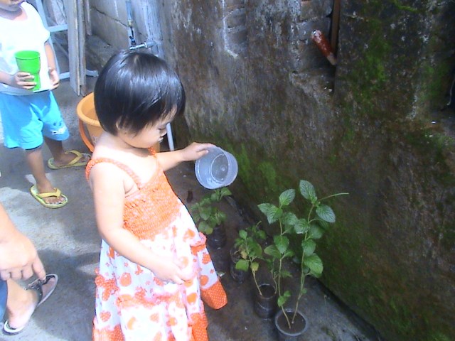 MENYIRAM TANAMAN DI HALAMAN RUMAH/ GEREJA 