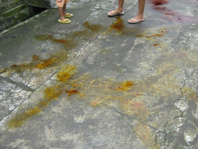 HASIL KARYA PELUKIS CILIK