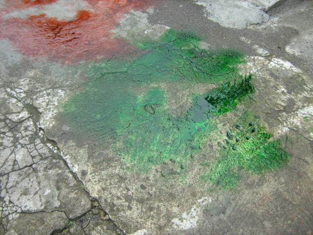 HASIL KARYA PELUKIS CILIK 3