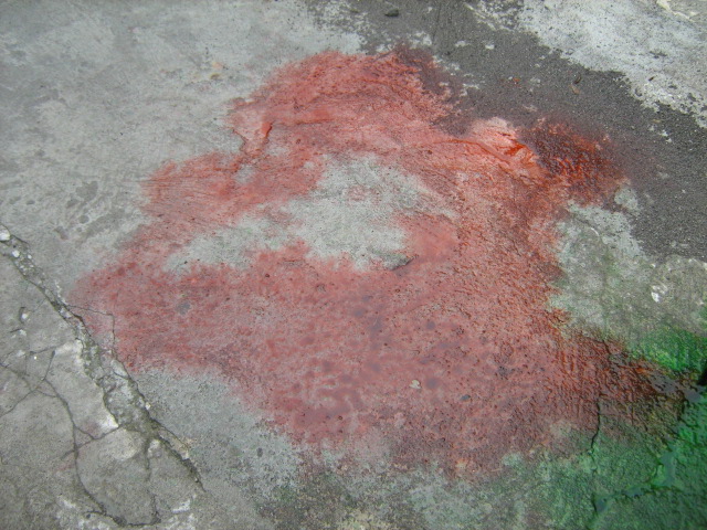 HASIL KARYA PELUKIS CILIK 4