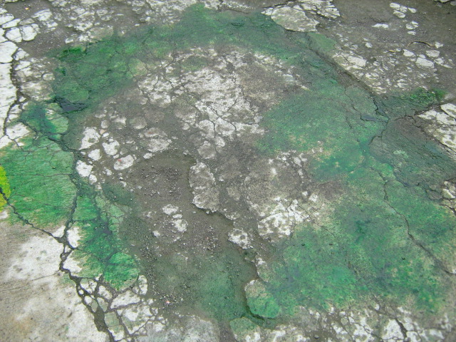 HASIL KARYA PELUKIS CILIK 5