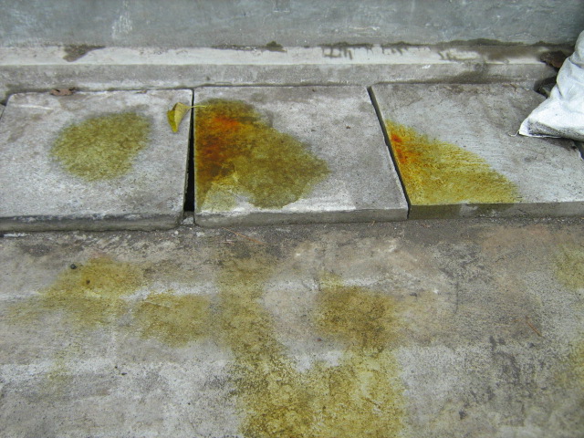 HASIL KARYA PELUKIS CILIK 8