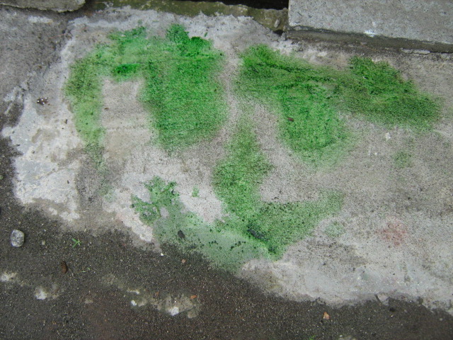 WAJAH TERSENYUM GAMBAR DARI IBU GURU