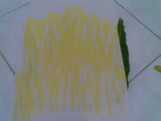 Kini turunkan kertas yg atas dan jiplaklah di bagian tengah.