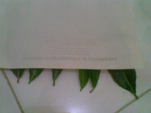 Letakkan kertas lain di atasnya