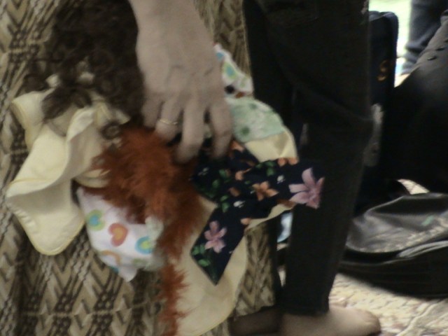 KOSTUM BISA BERUPA KAIN, SYAL, SCRAF, SELENDANG, JARIK, DLL KOSTUM BISA BERUPA KAIN, SYAL, SCRAF, SELENDANG, JARIK, DLL