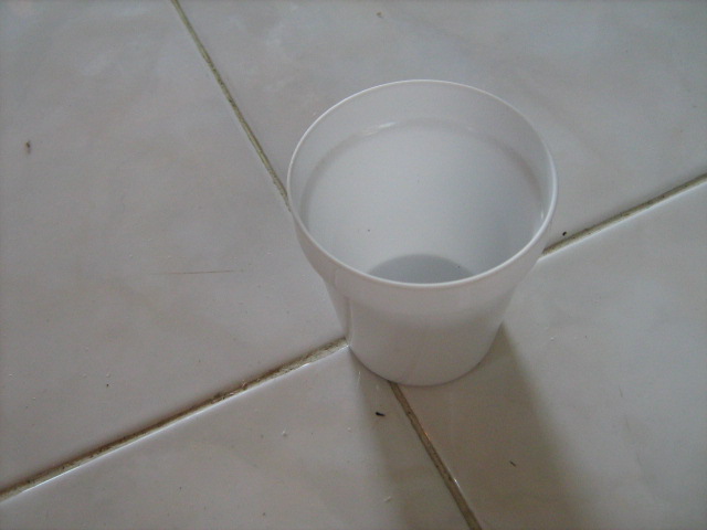 SIAPKAN GELAS PLASTIK YANG AKAN JADI KORBAN.. ( DUA BUAH)