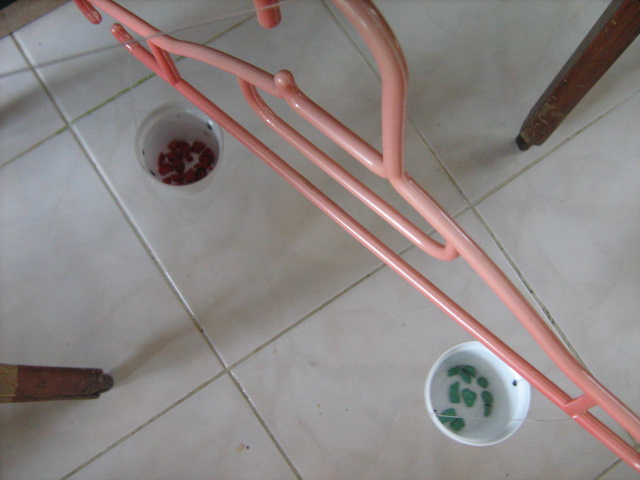 IKATKAN SENAR PADA DUA KURSI, TANGUNGKAN HUNGER PADA SENAR ITU, KINI TIMBANGAN TELAH SIAP DIBERI WADAH KEMBAR. 