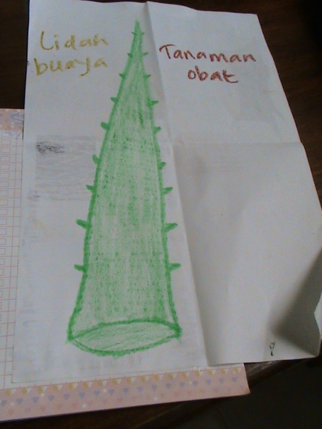 mengajak anak-anak menggambar tanaman obat