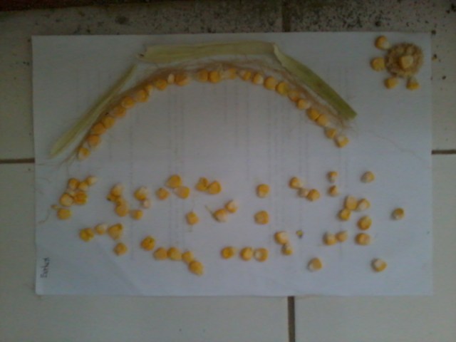 I GIVE AS A GIFT TO YOU A RAINBOW AS A SYMBOL FOR THE FULFILLMENT OF THE PROMISE OF GOD FOR OUR LIVES I GIVE AS A GIFT TO YOU A RAINBOW AS A SYMBOL FOR THE FULFILLMENT OF THE PROMISE OF GOD FOR OUR LIVES