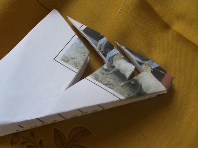 36. IKUTI POLA GUNTINGAN INI