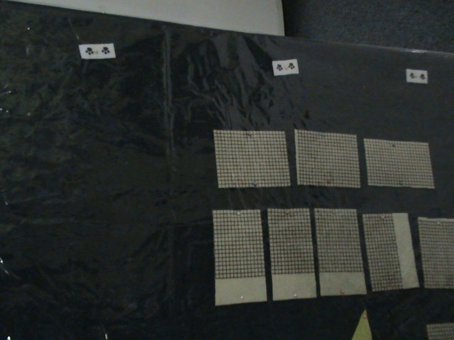 TAMPAK ATAS TAMPAK ATAS