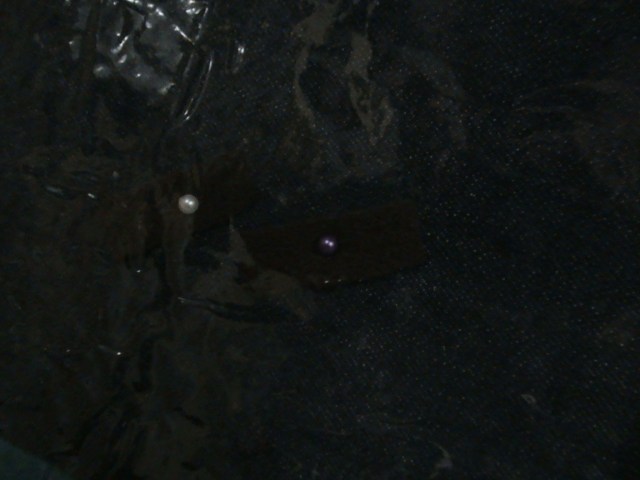 TANDA UNTK ORG KUSTA TANDA UNTK ORG KUSTA