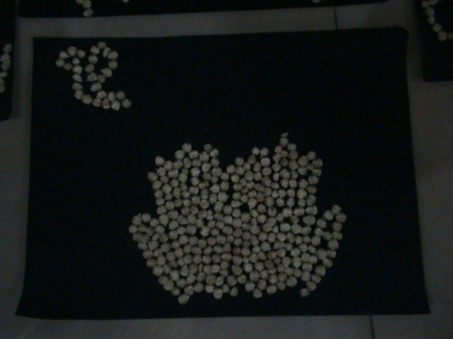 KARYA KEMIL GPDI TEMANGGUNG THEMA 'BERKAT' KARYA KEMIL GPDI TEMANGGUNG THEMA 'BERKAT'