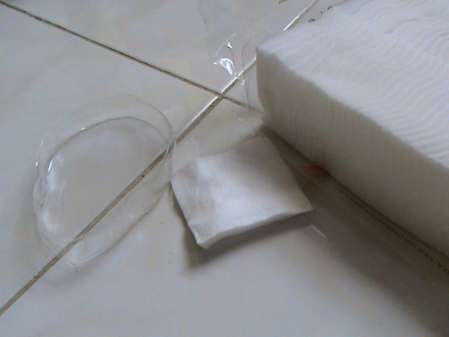 SIAPKAN KAPAS UNTUK MEMBALUT PLASTIK. POTONG PLASTIK PADA UKURAN DIAMETER YANG LEBIH KECIL SESUAI UKURAN YANG ANDA INGINKAN ( DICOBA DULU DI MODEL ANAK/DEWASA)