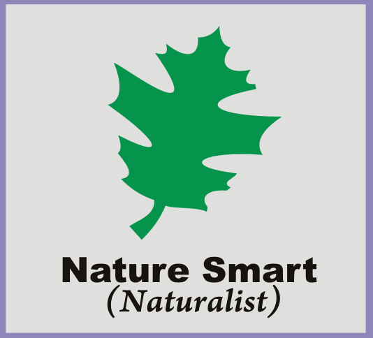 logo 4-terkait logo 4-terkait