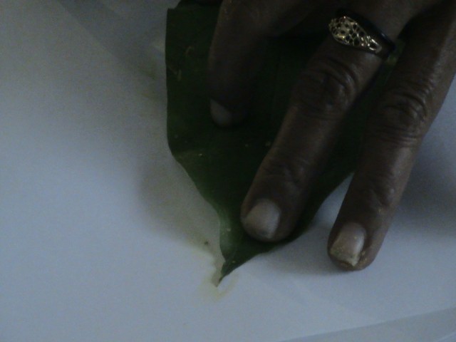 SUMBA TENGAH DESEMBER 2013