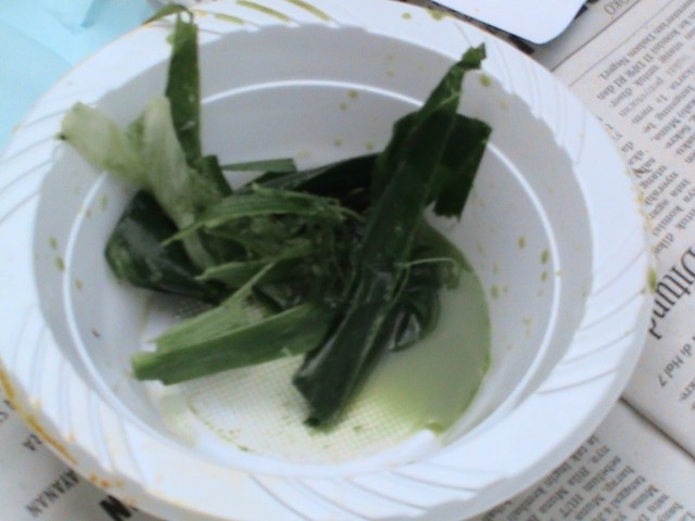 daun pandan untuk warna hijau