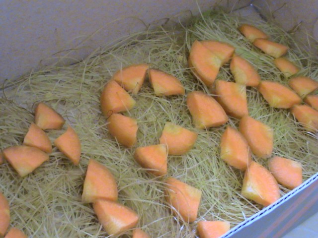 tingkat kerapian dan seni dibutuhkan di sini