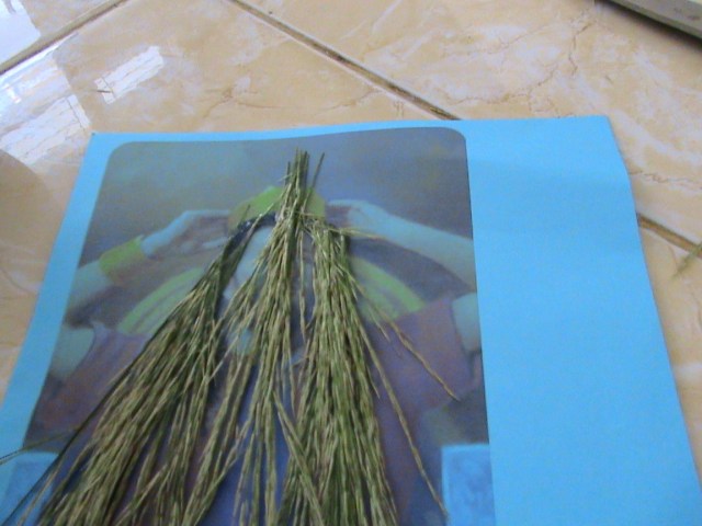 TEMPELKAN DAHULU AREA PONI , SETELAH ITU BARU POTONG SEPERTI LAYAKNYA TUKANG POTONG RAMBUT