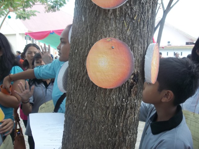 PAKAILAH JARUM PENTUL/ JARUM JAHIT YANG UJUNGNYA ADA MUTIARANYA UNTUK MENANCAPKAN BUAH PADA KULIT BATANG POHON