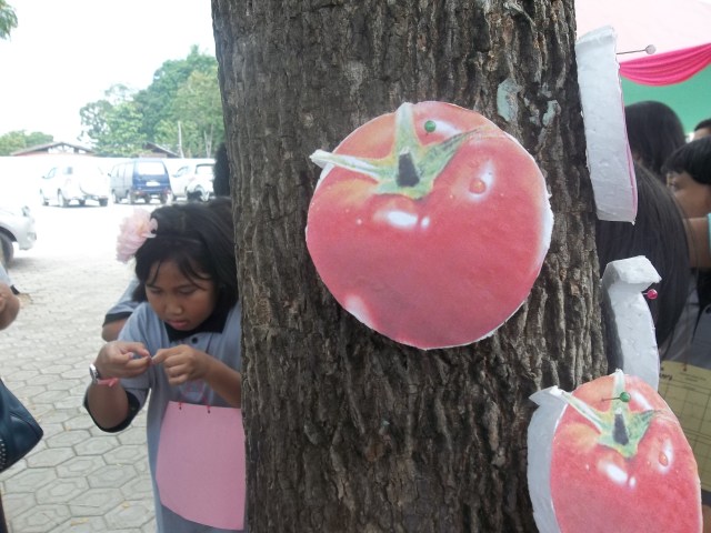 AMBIL GAMBAR  BUAH DI INTERNET PRINT DAN TEMPELKAN PADA GABUS/ STEOROFOAM, CUTTER, TEMPELKAN ALAMAT AYAT YANG TELAH DIKETIK PADA BALIK BUAH MENGGUNAKAN ESOLASI BENING