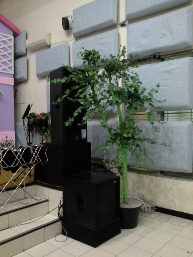 Ada pohon di sudut ruangan , yang siap digantungin tulisan serta gambar wajah pohon