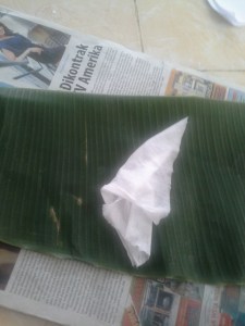 bersihkan daun menggunakan tissue basah